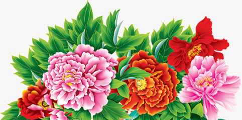 牡丹花開(kāi)富貴圖 免費(fèi)高清PNG素材，點(diǎn)綴你的創(chuàng)意設(shè)計(jì)