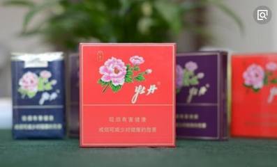 牡丹香韻 紅藍(lán)金紫間的審美對話